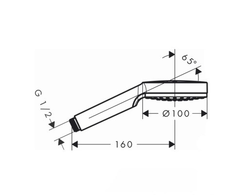 Душевая лейка Hansgrohe Crometta хром 26334400