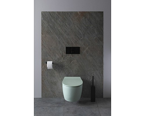 Унитаз Allen Brau Fantasy 4.11004.MT подвесной Мятный без сиденья