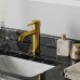 Смеситель для раковины Paini Cox Золото матовое