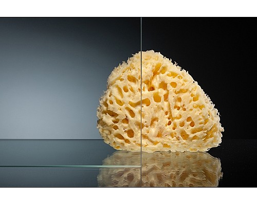 Душевой уголок Radomir 110x90 1-09-1-0-0-1220 профиль Белый стекло прозрачное