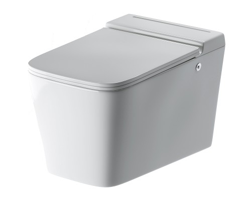 Унитаз Grossman GR-5501 подвесной с сиденьем Микролифт