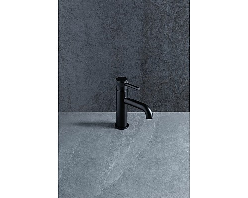 Смеситель для раковины Allen Brau Priority 5.31001-31 Черный матовый