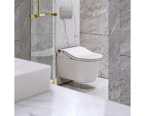Унитаз Toto RX CW542EY подвесной без сиденья