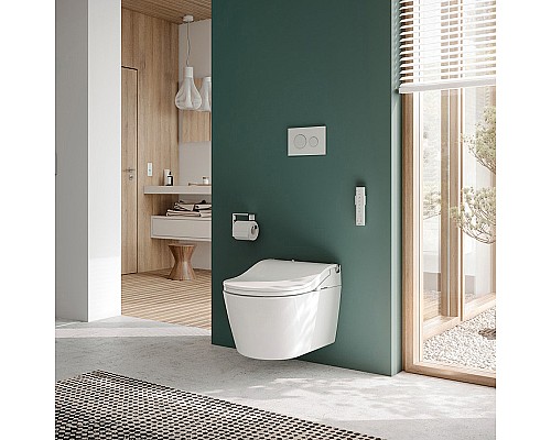 Унитаз Toto RX CW542EY подвесной без сиденья