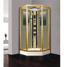 Душевая кабина Niagara Luxe NG-7717G 100x100