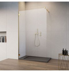 Душевое ограждение Essenza Pro 8 Gold Walk-In 100x200 прозрачное 8 мм