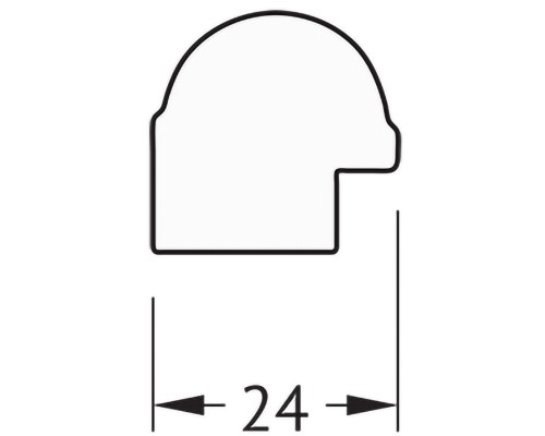 Зеркало Evoform Definite 44х34 BY 1330 в багетной раме - Золотой бамбук 24 мм
