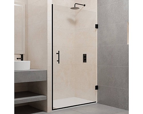 Душевая дверь RGW Passage PA-06 B 80 41080608-14 профиль Черный стекло прозрачное