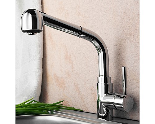 Смеситель для кухни WasserKRAFT 4166