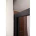 Душевая дверь Aquanet Pleasure 160 273600 Черный матовый