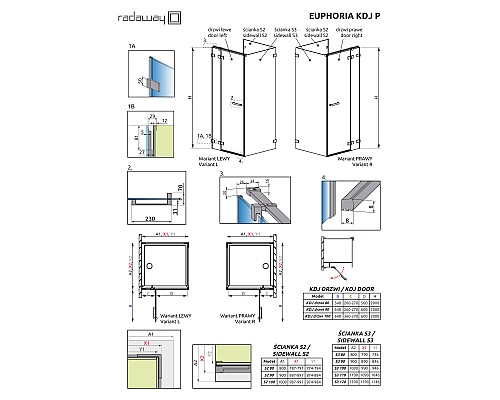 Боковая стенка для душевого уголка Radaway Euphoria S2 90x200 Хром