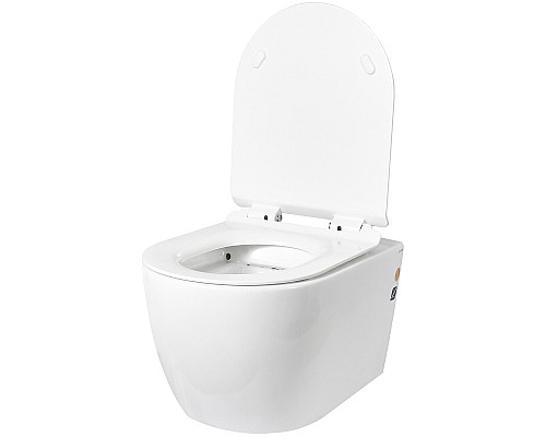 Унитаз Logan L1W 261951 подвесной с сиденьем Микролифт