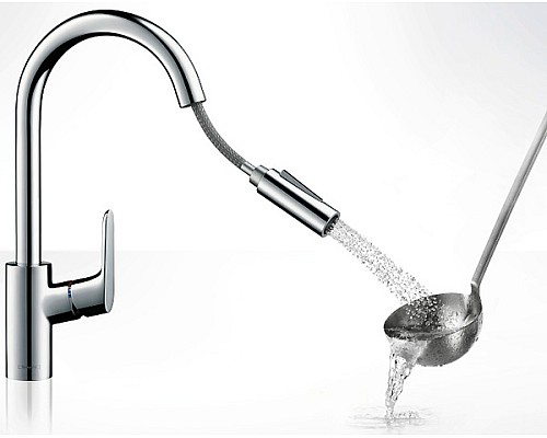 Смеситель для кухни Hansgrohe Focus 31815000