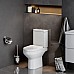 Унитаз-компакт AM.PM Spirit C708600SC с бачком и сиденьем Микролифт