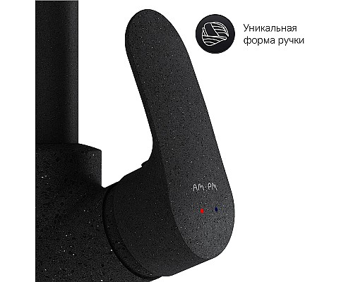 Смеситель для кухни AM.PM Like F8006022 Черный