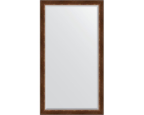 Зеркало Evoform Exclusive Floor 201х111 BY 6159 с фацетом в багетной раме - Римская бронза 88 мм