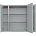 Зеркальный шкаф Aquanet Алвита New 90 303895 Серый матовый