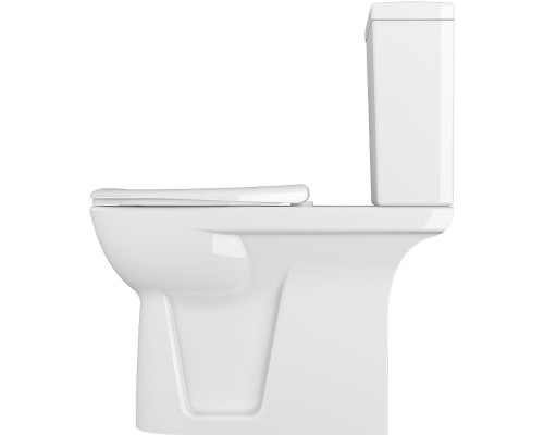 Унитаз для инвалидов VitrA S.Needs с сиденьем