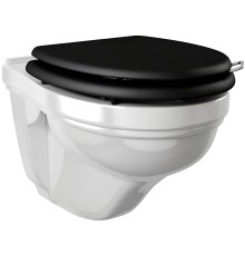 Унитаз Devon&Devon Blues IBWCSBLUES подвесной без сиденья