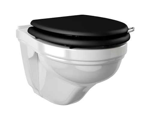 Унитаз Devon&Devon Blues IBWCSBLUES подвесной без сиденья