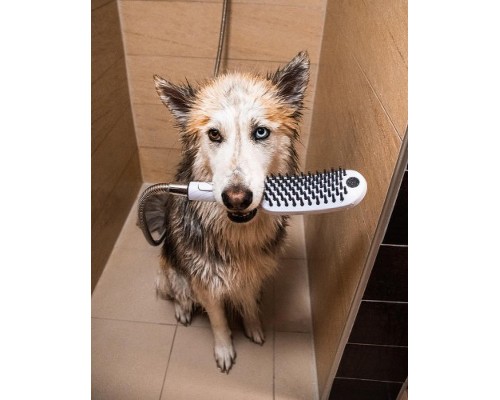 Ручной душ Hansgrohe DogShower для собак Бирюзовый