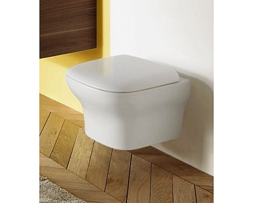 Подвесной унитаз Jacob Delafon без ободков 36х50 EDM10200