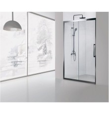 Душевая дверь Aquanet NPE6121