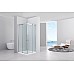 Душевое ограждение Black & White S502100x100