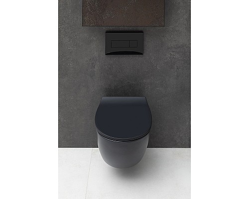 Унитаз Allen Brau Fantasy 4.11004.31 подвесной Черный матовый без сиденья