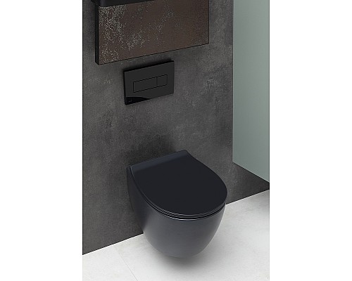 Унитаз Allen Brau Fantasy 4.11004.31 подвесной Черный матовый без сиденья