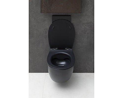 Унитаз Allen Brau Fantasy 4.11004.31 подвесной Черный матовый без сиденья