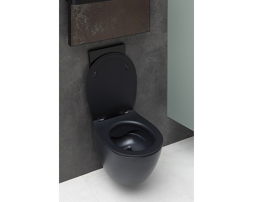 Унитаз Allen Brau Fantasy 4.11004.31 подвесной Черный матовый без сиденья