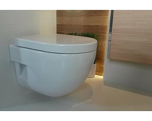 Унитаз Roca Meridian 346248000 подвесной без сиденья