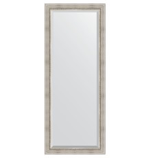 Зеркало Evoform Exclusive Floor 201х81 BY 6118 с фацетом в багетной раме - Римское серебро 88 мм