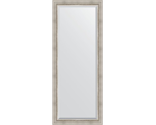 Зеркало Evoform Exclusive Floor 201х81 BY 6118 с фацетом в багетной раме - Римское серебро 88 мм