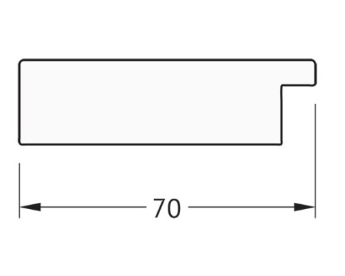 Зеркало Evoform Definite Floor 197х78 BY 6004 в багетной раме - Соты медь 70 мм