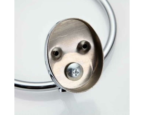 Кольцо для полотенец Frap F16 F1604 Хром