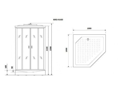 Душевая кабина Niagara Premium NG-6002-01GD 100x100