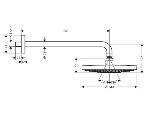 Верхний душ Hansgrohe Raindance Select S 240