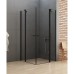 Душевое ограждение NEW TRENDY NEW SOLEO BLACK 2D 90x110x195 (черный)