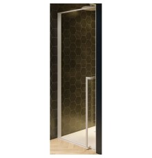 Душевая дверь Riho Lucid GD101 100х10 (GD110W000) Белый