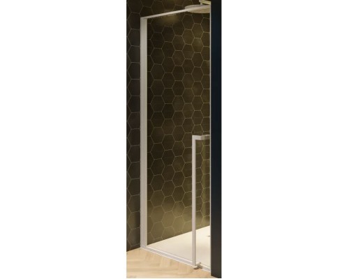 Душевая дверь Riho Lucid GD101 100х10 G005003122 (GD110W000) Белый