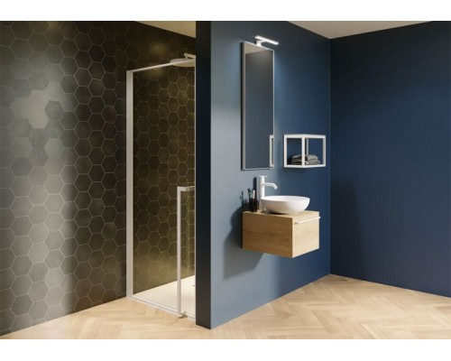 Душевая дверь Riho Lucid GD101 100х10 G005003122 (GD110W000) Белый