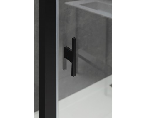 Душевая дверь Allen Brau Priority 120 3.31009.BBA Черный брашированный