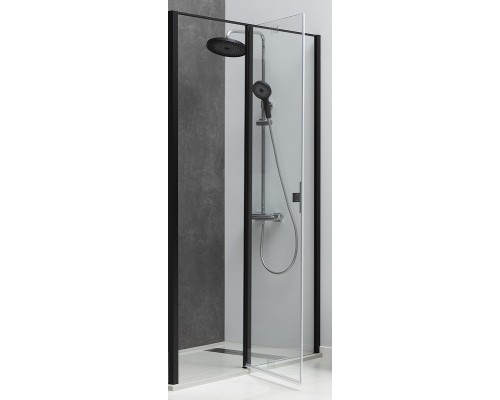 Душевая дверь Allen Brau Priority 120 3.31009.BBA Черный брашированный