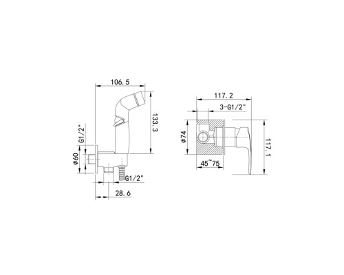 Гигиенический душ со смесителем Iddis Ray RAYSBR2i08 Хром