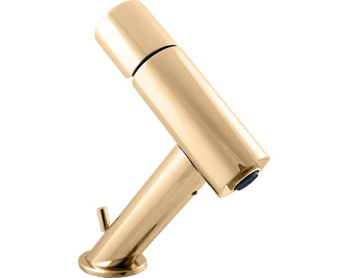 Смеситель для раковины Rav Slezak Seina SE229.5KZ Золото