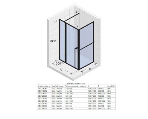 Душевой уголок Riho Lucid GD203 110х100 G005018121 (GD211B100) Черный