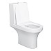 Унитаз компакт Damixa Skyline DX35C8600SC с бачком и сиденьем Микролифт