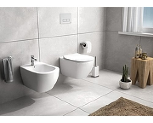 Комплект биде с инсталляцией Ideal Standard Tesi D386801 Белый
